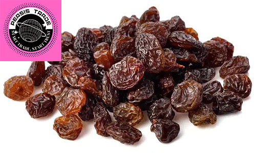        تأمین انرژی پایدار و مقابله با خستگی:
