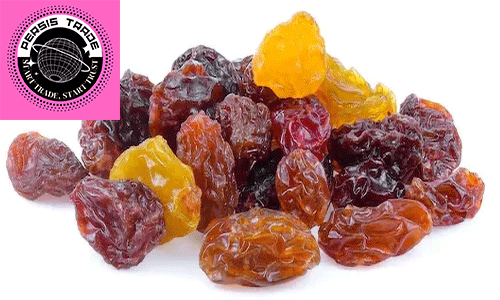اثرات ضدمیکروبی (Antimicrobial Action):