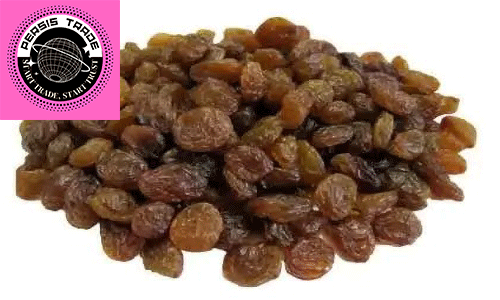 کشمش سایه خشک
