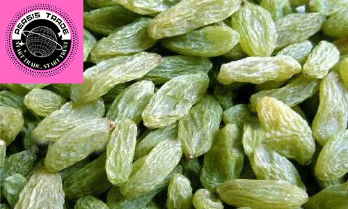 کشمش سبز قلمی کاشمر چیست؟