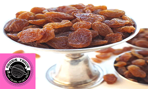 ۳) مدیریت کمخونی و بهبود سطح انرژی (نقش آهن)