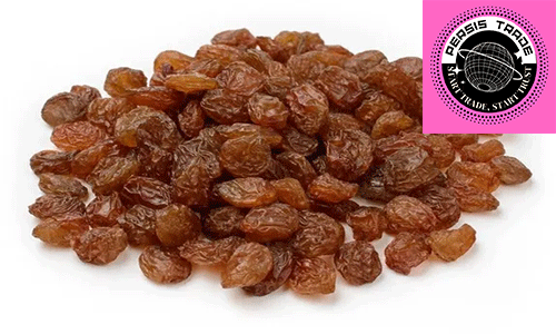    چرا کشمش قرمز (آفتابی) تاکستان قزوین بی‌رقیب است؟