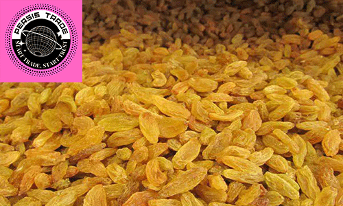 ۳) تأمین انرژی سریع و پایدار (نقش قندهای طبیعی و فروکتوز)