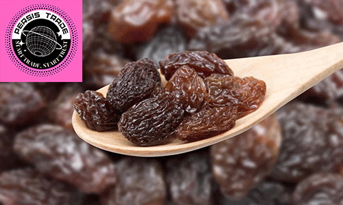 خلاصه تفاوت در یک نگاه: