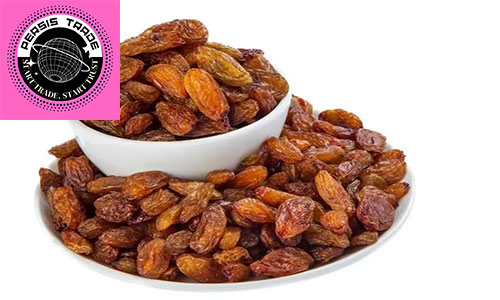 ۴. بهبود وضعیت التهابی (کاهش سیتوکین‌های پیش‌التهابی)