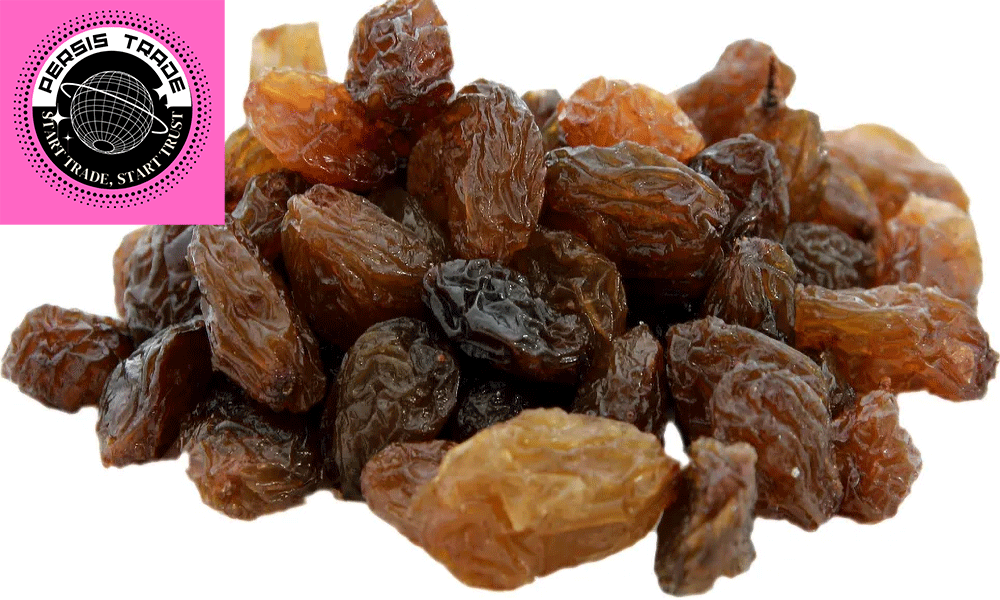 مویز فخری