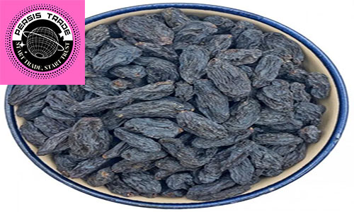 تحلیل استراتژیک: تفاوت در فلسفه تولید و کاربرد