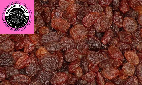 تفاوت عملکردی در بازار؛ چرا کسب‌وکارها مویز یاقوتی را ترجیح می‌دهند؟