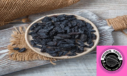 ۵. گذار از سنتی به مدرن: ضرورت تغییر نگرش