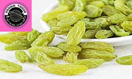 قیمت کشمش سبز قلمی کاشمر