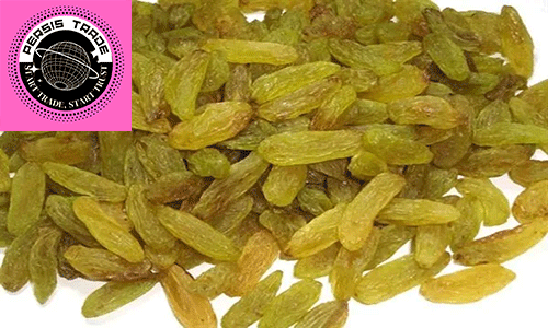 خرید کشمش سبز قلمی