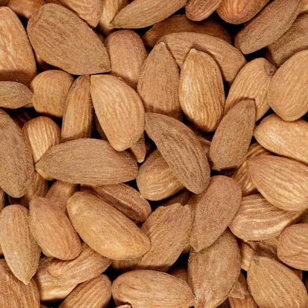بادام درختی