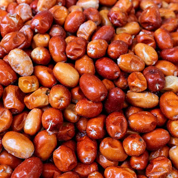 سنجد