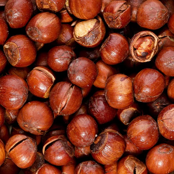فندق